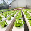 Customize design white pvc plastic hydroponics square rectangular pipe