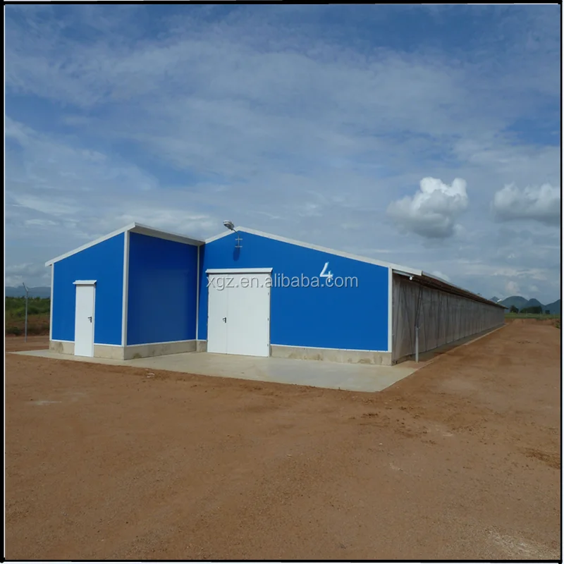 Steel Structure Poultry Chicken Shed With Automatic Equipments