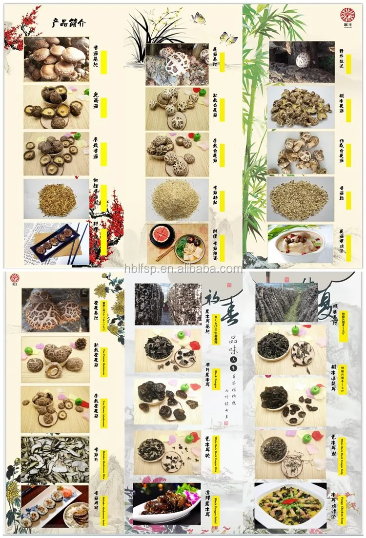 LIANFENG Main Products