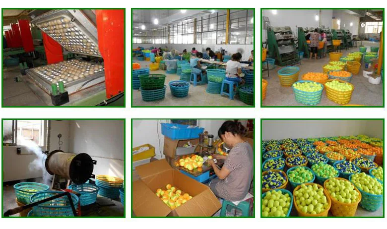 Procedure of Tennis ball.jpg