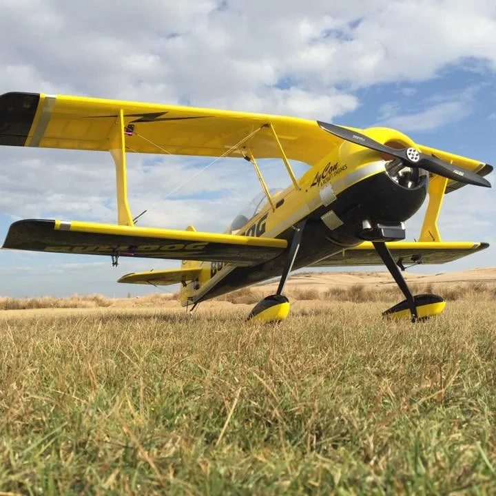 dongguan flight model planes pitts gas 100cc pitts rc arf model