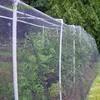 Cheap price uv anti bird net/agriculture anti hail system/polyethylene plastic anti hail net