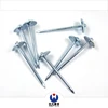 2018 substantial steel nails from china manufacturers