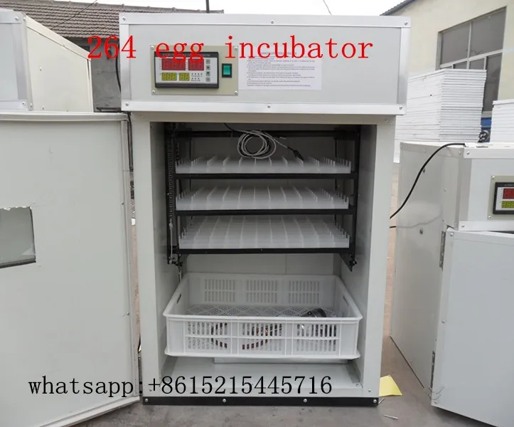 quail egg incubator amazon quail egg incubator amazon