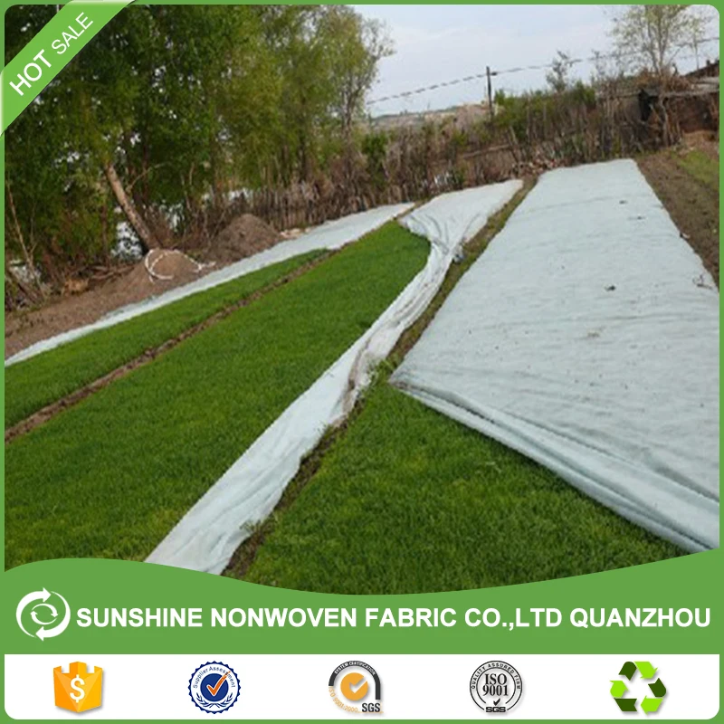 Polypropylene Nonwoven Plant Protection Blankets/Garden Anti Frost Warming Fleece/Tnt Non Woven Fabric