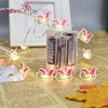 2018 New Xmax Sleigh Led Fairy String Light,Light Chain For Home Decoration,Party,Office,Hotel