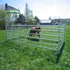 Galvanized round pen gate, panel for cattle, deer, horse