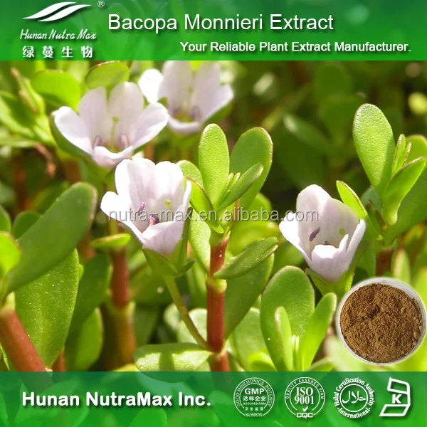 (competitive price)bacopa monnieri extract