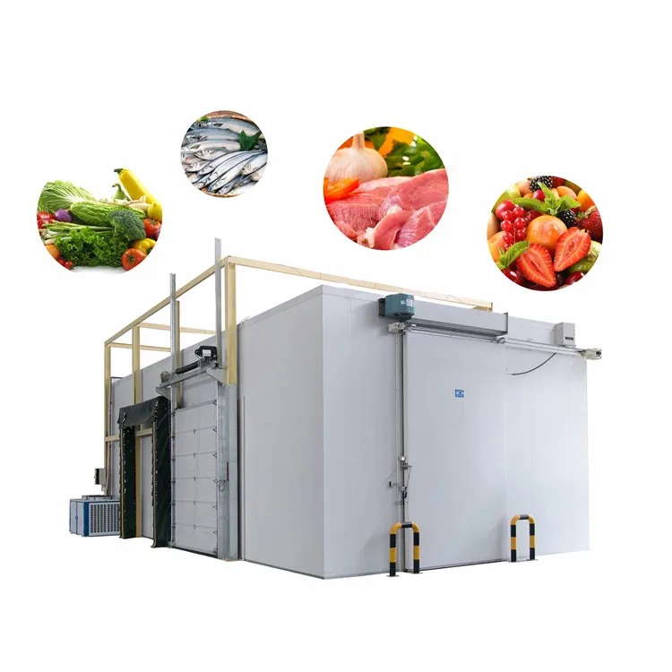 Air Blast Freezer For Chicken Fish Or Meat - Buy Blast Freezer For Meat ...