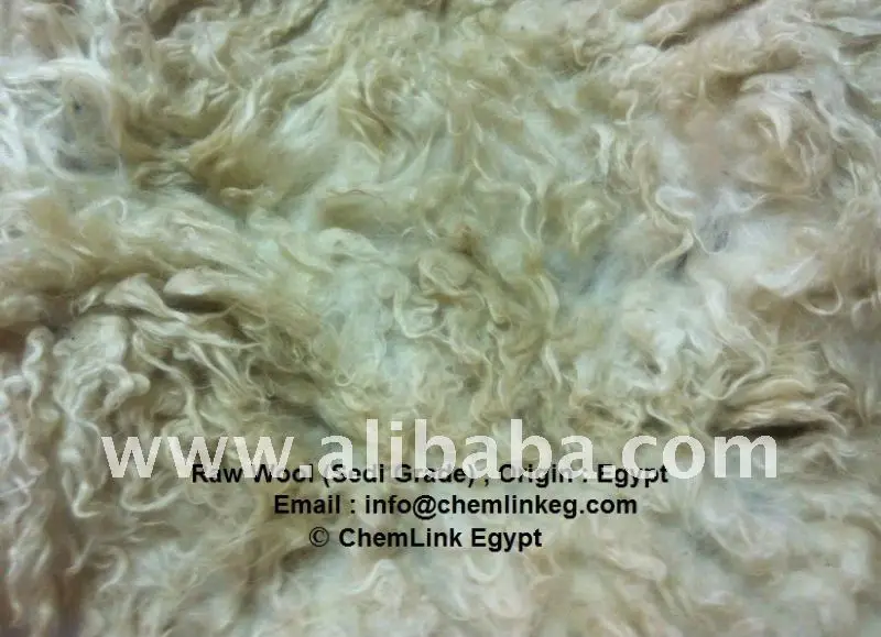 
Greasy , Tannery , Back Washed , Scoured Egypt Wool 