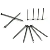 Hot sell galvanized iron nails large steel common nails