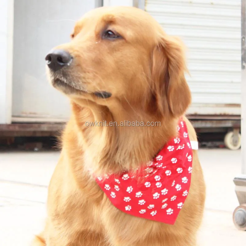 custom printed dog bandanas