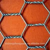 3/4 inch hexagonal wire mesh(Galvanized&PVC Coated)/hexagonal wire netting/green pvc coated chicken wire mesh