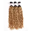 Remy Peruvian Water Wave Ombre Light Brown Weave Human Hair Bundles