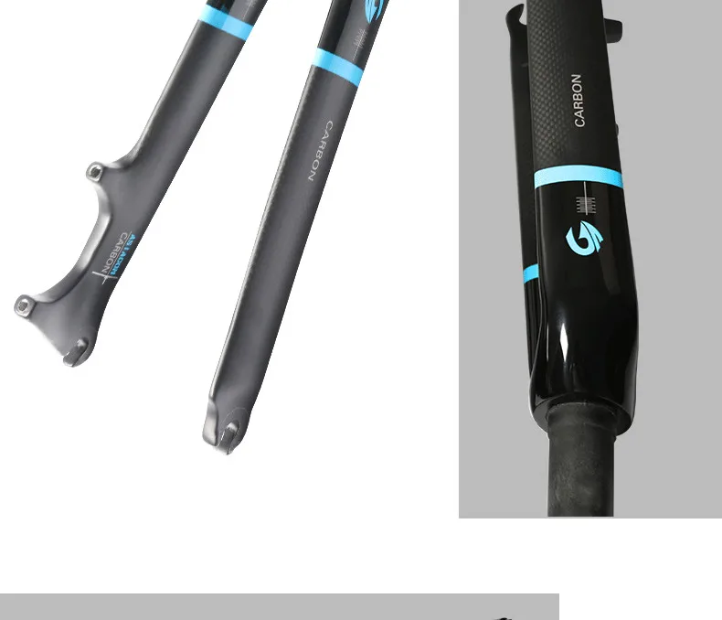 carbon fork folding bike