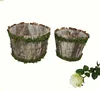 birch flower pot with moss