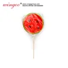 Good Quality Super Big Size Watermelon Shape lollilpop