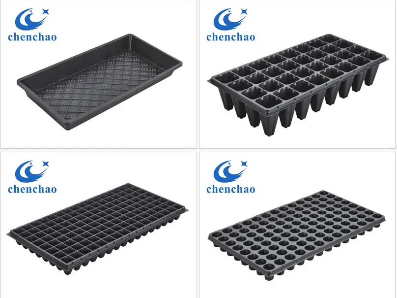 paste-pic-dp_uuid_xbbvm