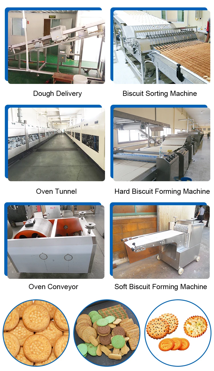 Hard And Soft Biscuit Making Machine Production Line.jpg