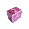 Aluminum Beauty Popular Make Up Organizer Train Display Fashion Vanity Case