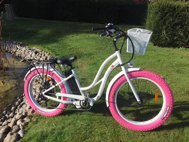 For Ladies 2017 New Holy Beautiful Fat Tire Electric Bike En15194 Buy