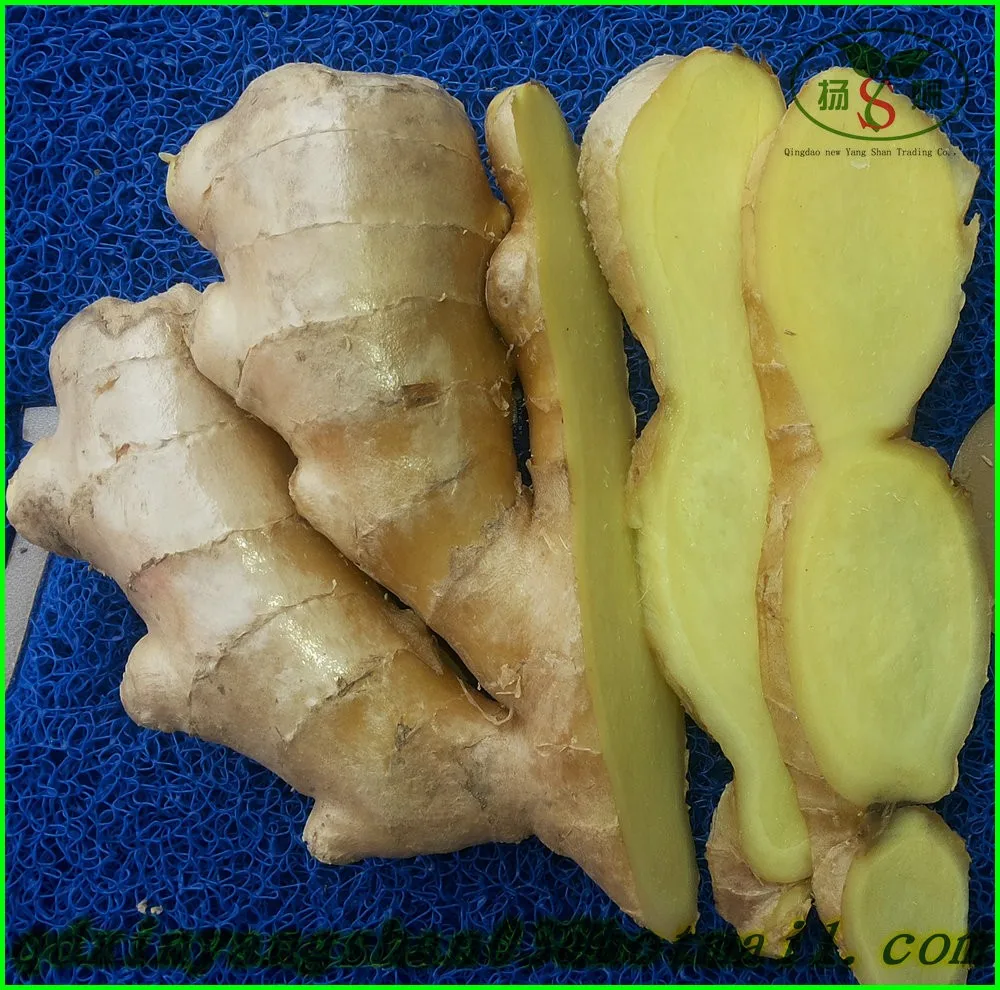 Export To Dubai Bulk Ginger Ginger - Buy To Dubai Fresh Ginger,Ginger ...