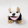 HI CE hot sale factory price animal dog plush toy