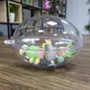 Egg Shape Transparent Plastic Ball