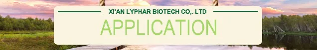 Reliable Manufacturer Supply Vitamin H/Biotin