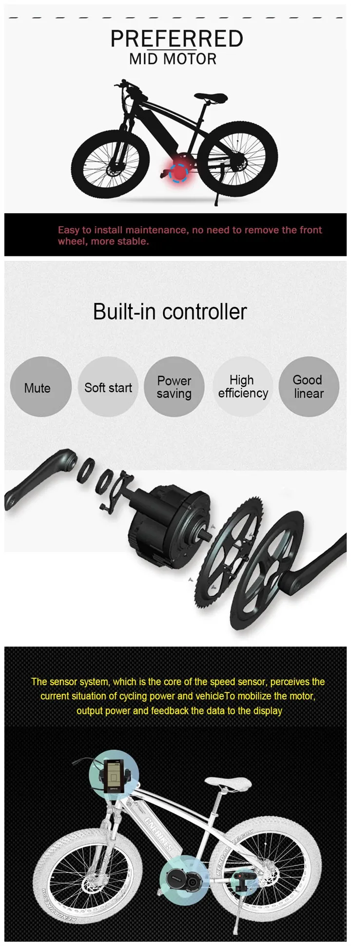 MIC2.jpg
