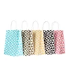 Hot sale shopping nice colorful decorate kraft paper bag for Christmas gift