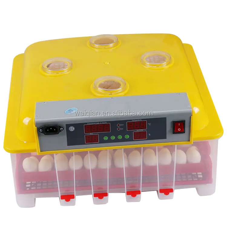 Egg incubator jn8-48