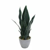 Plastic artificial bonsai snake plant/sansevieria/agave artificial ornamental plant for indoor decoration