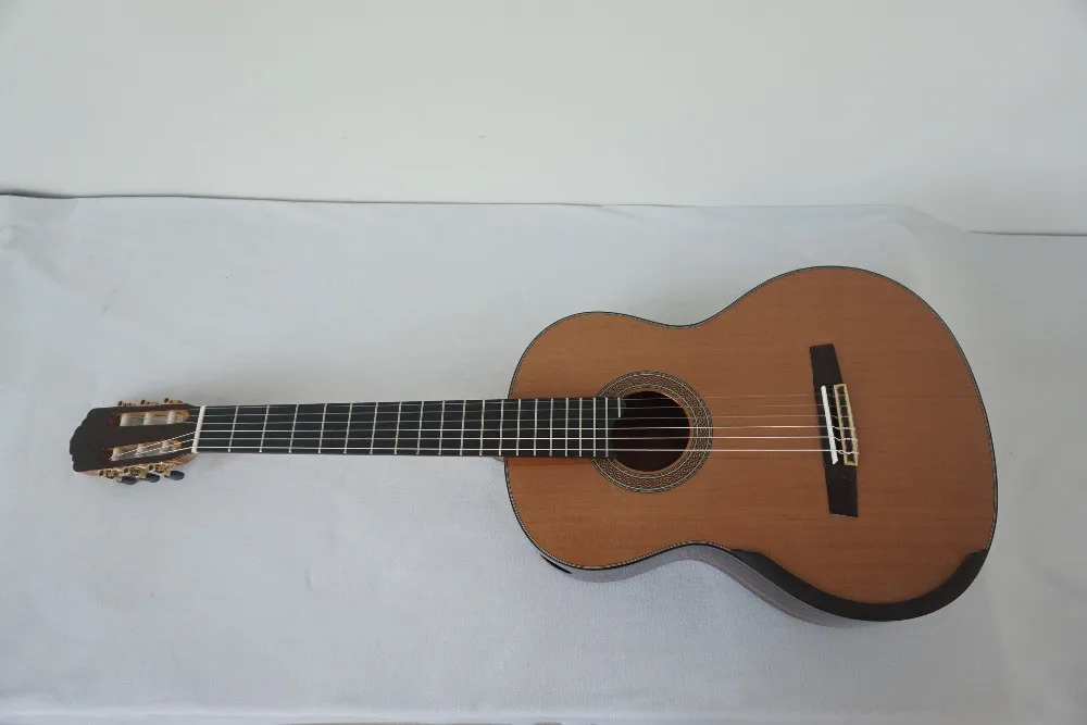 Aiersi Brand Master Level Raised Fretboard Java Ebony Lattice Sound