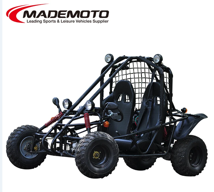 Private Label Cheap Racing Electric 2 Seater Adult Go Karts Buy Electric Go Kart,Private Label