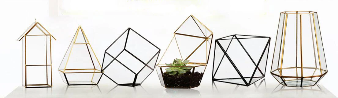 glass terrarium 2.jpg