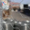 China hexagonal Galvanized chicken wire netting