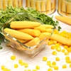 Ingredients vegetables bottled top quality pickle baby corn