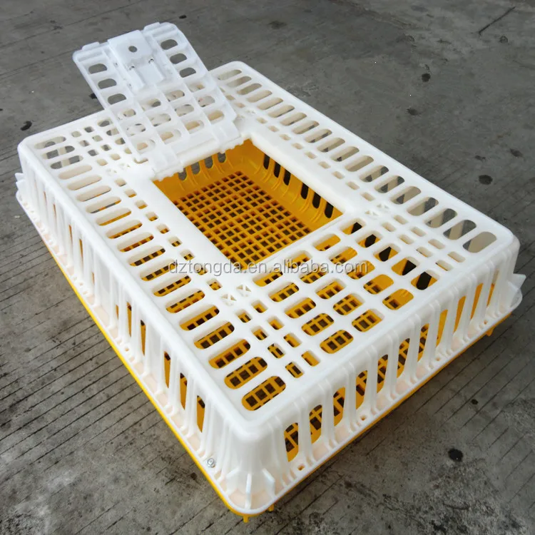 Solid Design Cage For Transport Of Rabbit Plastic Chicken Crate For Sale Buy Cage For Transport Of Rabbitplastic Chicken Crateplastic Rabbit Cage