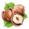 Quality Hazelnuts In shell & Kernels, Organic Hazel Nuts