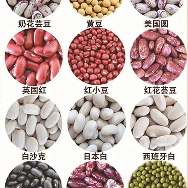 sparkled kidney bean