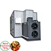 Fruit Heat Pump Dehydrator Blueberry Dryer Machine Commercial Mango Drying Machine For Sale