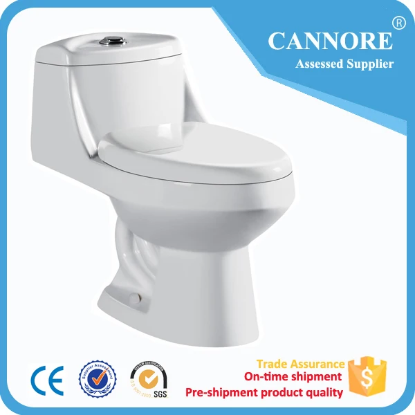 Hot Sale Water Ridge One Piece Dual Flush Toilet Buy One Piece Dual Flush Toilet,Water Ridge Hot Sale Water Ridge One Piece Dual Flush Toilet Buy One Piece Dual Flush Toilet,Water Ridge