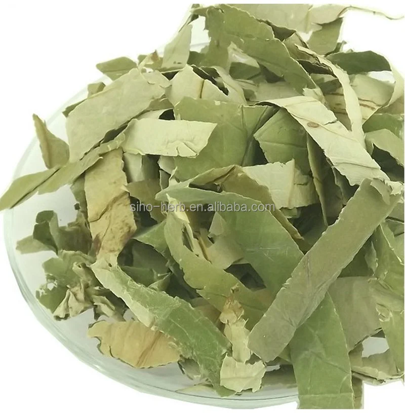 free-sample-dried-chinese-lotus-leaf-herb-for-losing-weight-slimming