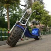 168/2013 EEC portable battery electric scooter two fat tires coc citycoco