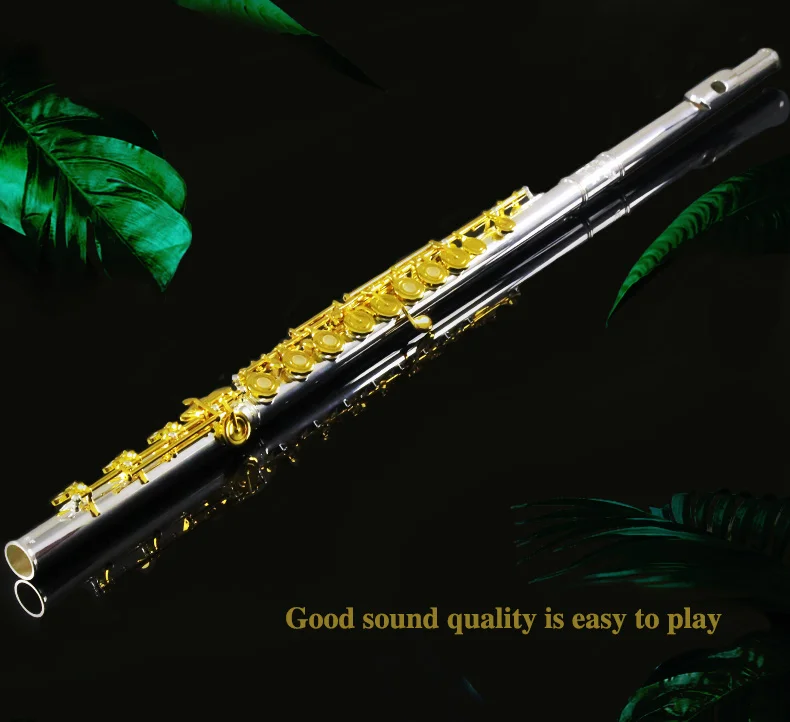 RF-SL6_03.jpg