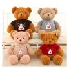 small plush toys plush animal stuffed toy plush animal bear with sweater custom plush teddy bear giant teddy bear