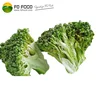 halal and haccp certification freeze dried vegetables fd broccoli