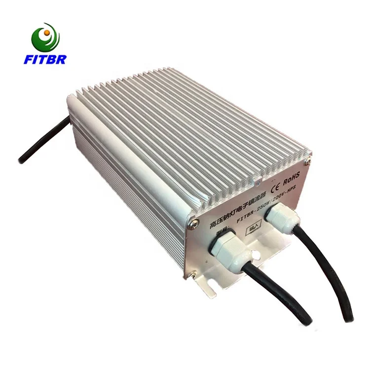 Low cost induction lamp HPS/CMH/LED 150W/250W/400W electronic ballast for outdoor lighting antique