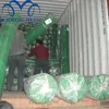 Guangzhou Factory Free Sample construction scaffold net/construction safety net price/safety scaffolding net